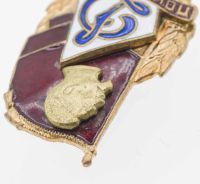 Лот: 25030363. Фото: 4. Знак Почётного члена ДСО "Динамо... Красноярск