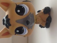 Лот: 4885588. Фото: 4. Игрушка LPS Littlest Pet Shop... Красноярск