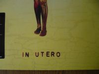 Лот: 15256395. Фото: 3. Nirvana. " In Utero." LP. Запечатан... Красноярск