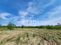 Лот: 25298526. Фото: 4. участок , садоводческое товарищество... Красноярск