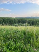 Лот: 25433648. Фото: 5. участок , деревня Кузнецово Центральная...