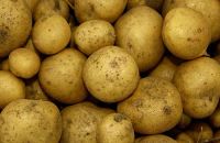 Лот: 14354853. Фото: 2. Свежий картофель. Продукты