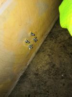 Лот: 16045215. Фото: 5. Avatar sst 312 d2 2 штуки в коробе