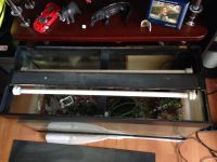 Лот: 4321892. Фото: 2. Аквариум juwel. Аквариумистика