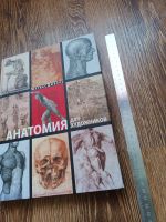 Лот: 25032470. Фото: 7. Матиас Дюваль - Анатомия Для Художников