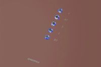 Лот: 23658516. Фото: 7. Вытяжка MAUNFELD Bath Plus 402