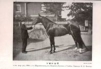 Лот: 17395731. Фото: 3. Журнал коннозаводства № 11, ноябрь... Коллекционирование, моделизм