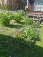 Лот: 25709356. Фото: 10. 2-комн. дача , садоводческое некоммерческое...