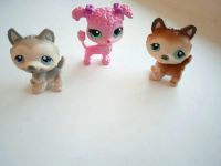 Лот: 7440679. Фото: 7. Littlest Pet Shop Петшоп 70