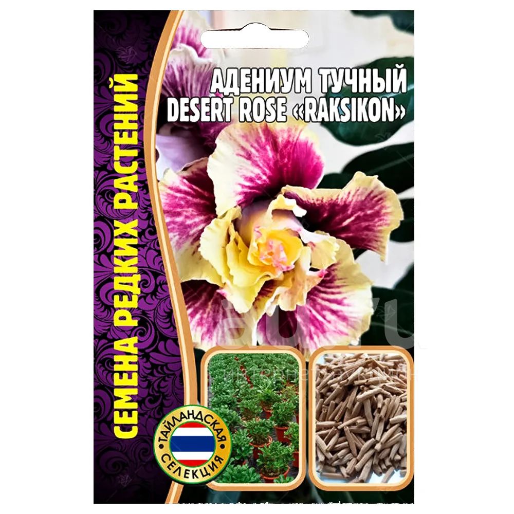 Адениум Desert Rose Raksikon Редкие семена — купить в Красноярске ...