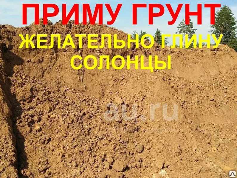 приму грунт - Авито Объявления в Санкт-Петербурге и Ленинградской области: купит