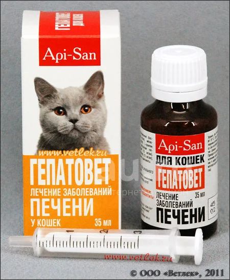 How to Reduce Fever in Cats: 12 Steps (with Pictures) - wikiHow
