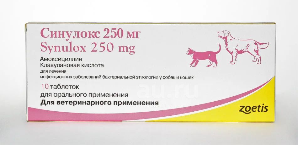 Купить синулокс 250 мг для собак. Препарат ветеринарный синулокс 250 мг. Синулокс (250 мг 10 ТБ). Синулокс для кошек 250мг. Синулокс для собак 250.