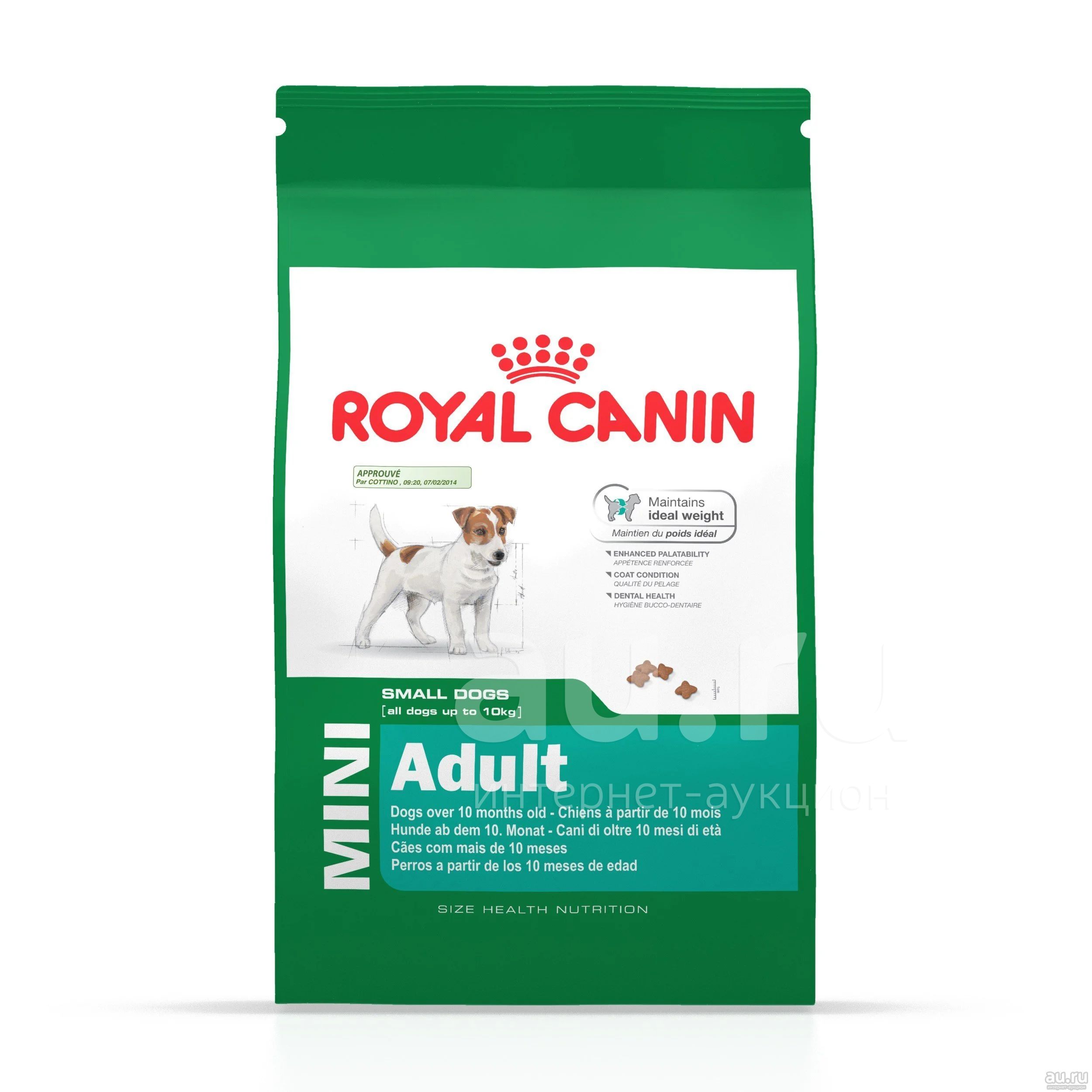 Корм для собак royal canin. Мини Эдалт 800 г Роял Канин. Роял Канин (Канин) мини Эдалт 4 кг. Корм Роял Канин мини Эдалт 2кг д/собак мелких пород. Роял Канин Junior для собак до 10 кг.