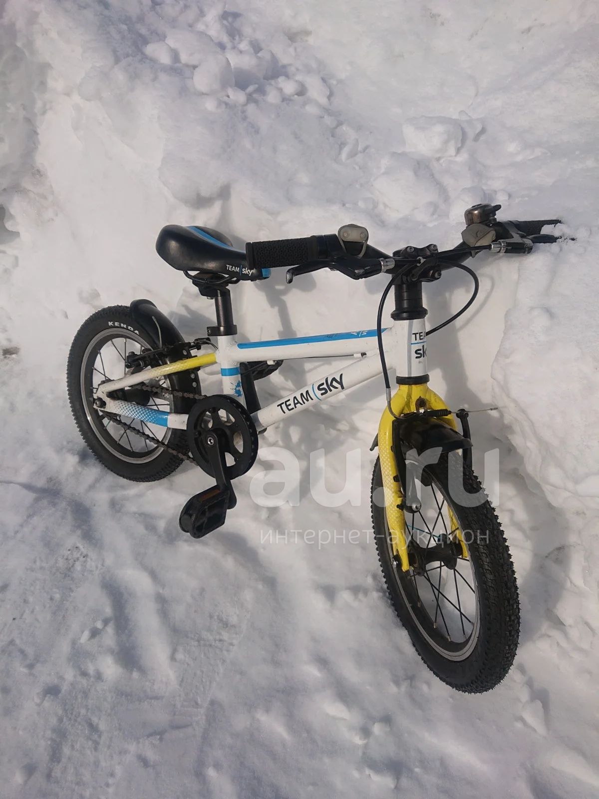 frog 43 team sky . Au.ru