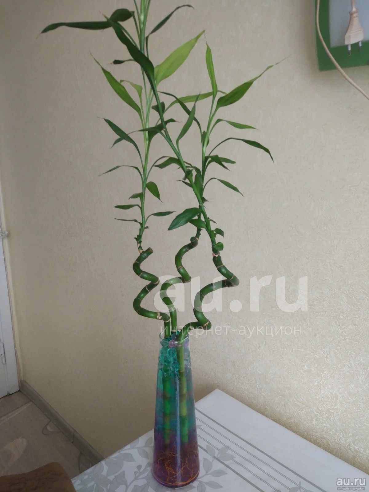 Вазы для бамбука