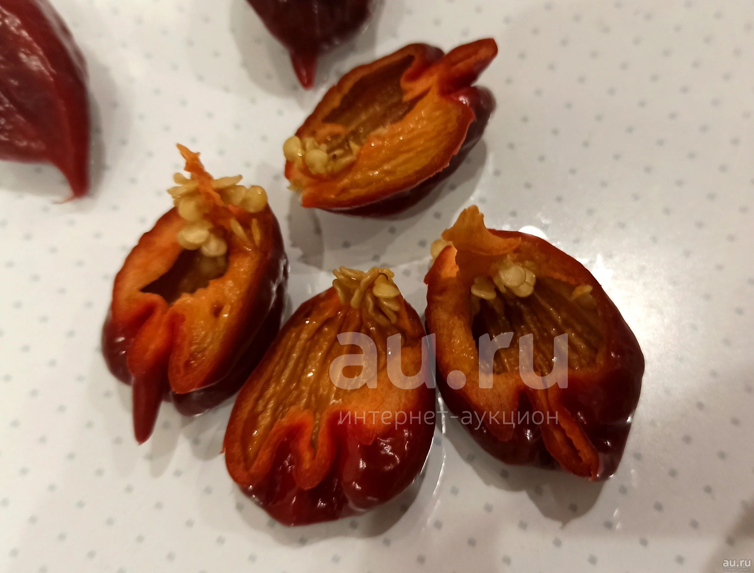 Семена Каролина Риппер Купить