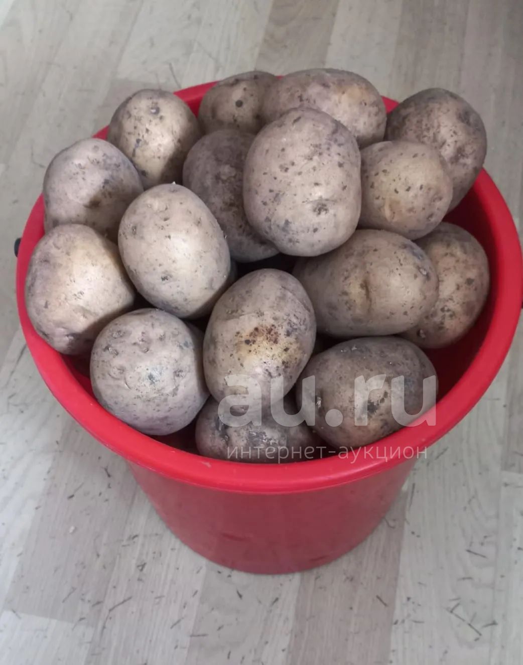 Картофель белый, 10 л ведро — купить в Красноярске. Картофель на ...