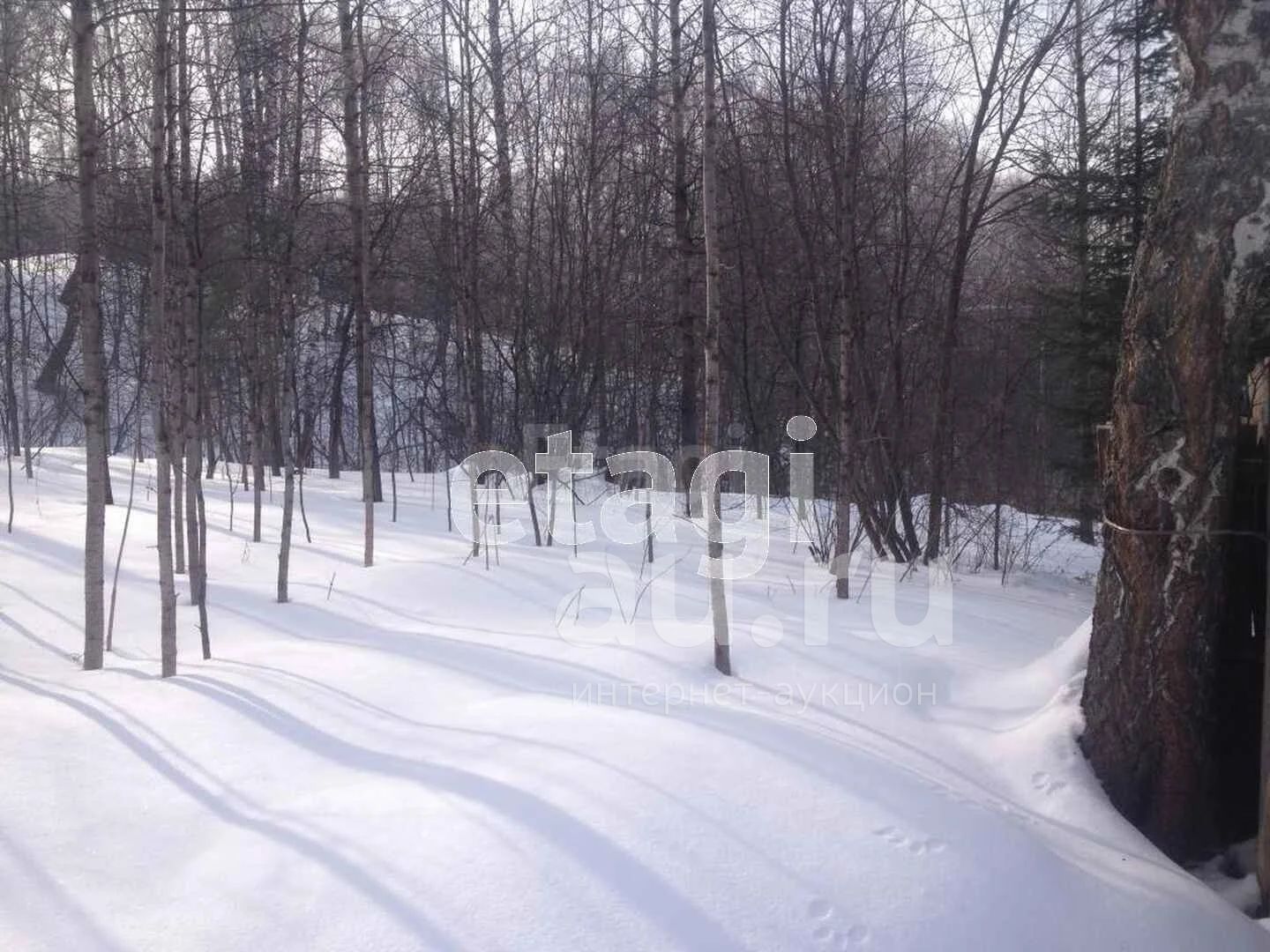 Купить Земельный Участок Снт Ветеран