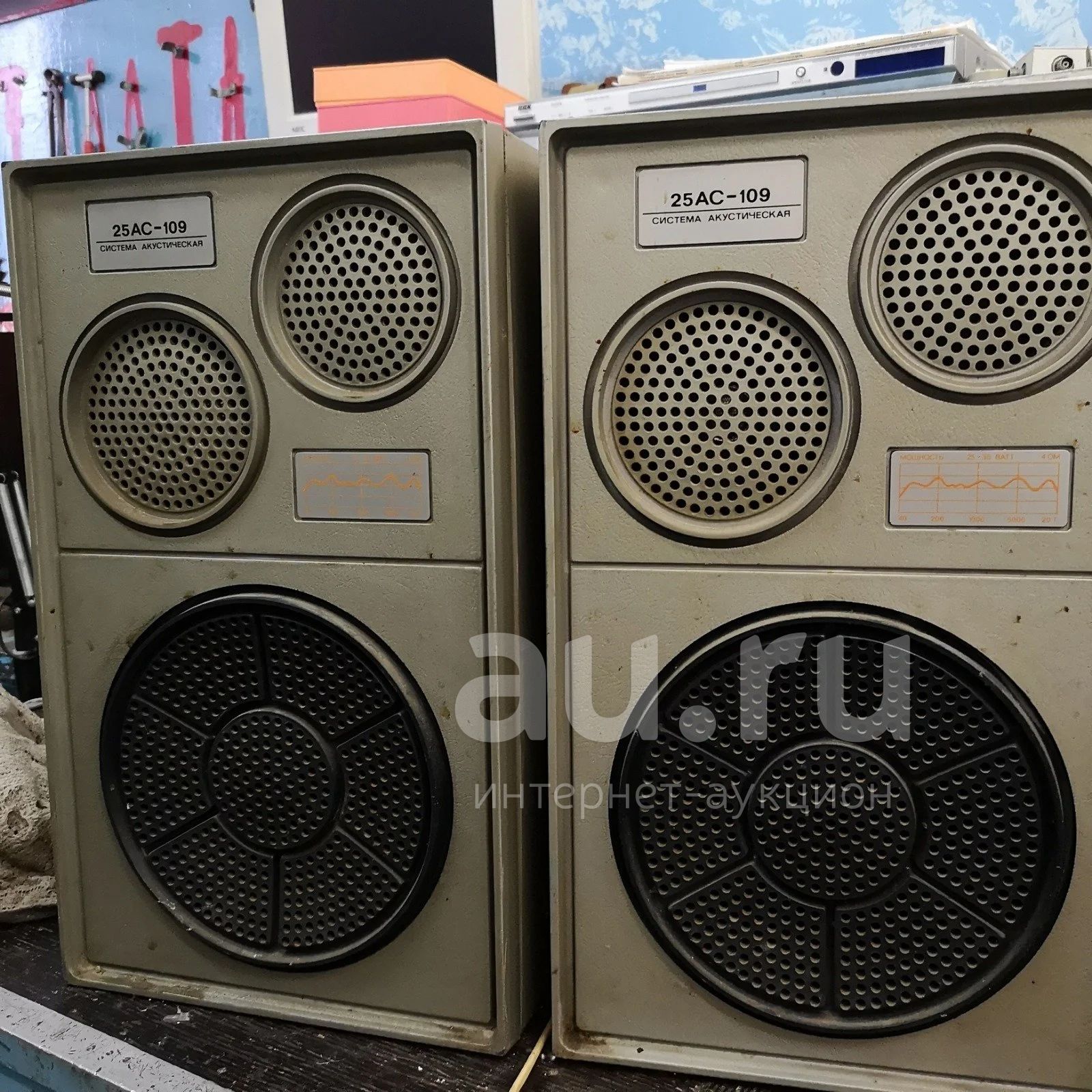 Купить Колонки 25ас 132