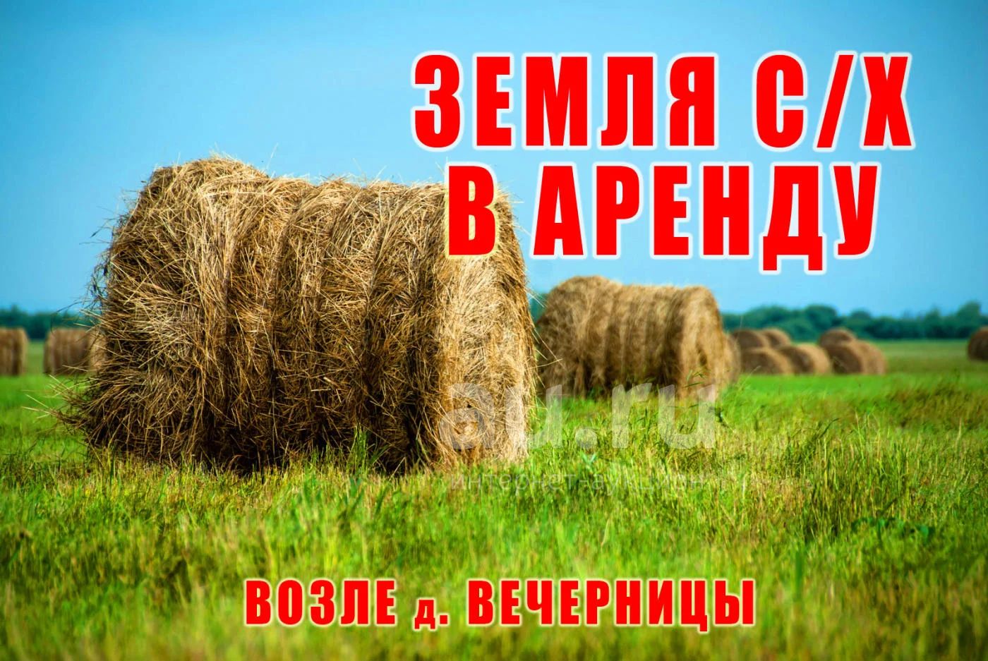 Отдам землю в аренду. Аренда земли сельхозназначения. Взять в аренду участок для сельхоз. Взять землю в аренду. Субаренда земли сельхозназначения.