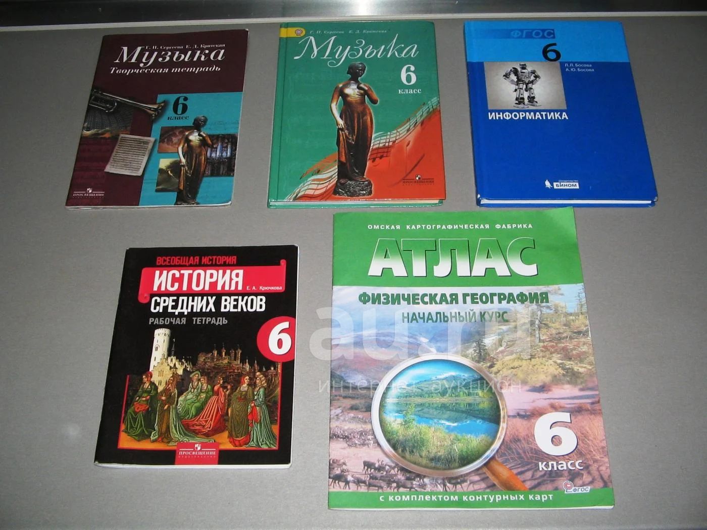 Русский язык 6 класс рыбченкова учебник