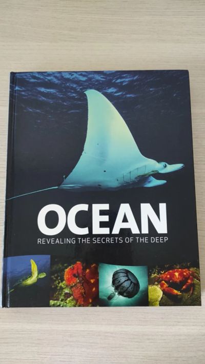 Лот: 21451999. Фото: 1. Книга на английском языке океан... Художественная