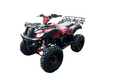 Лот: 25364742. Фото: 1. Квадроцикл RAPTOR Madman 200 All. Снегоходы, квадроциклы