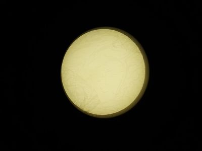 Лот: 12440466. Фото: 1. светильник с датчиком движения... Другое освещение