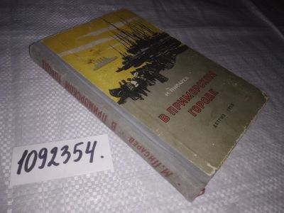 Лот: 24997465. Фото: 1. oz(1092354)Писарев М. В приморском... Художественная