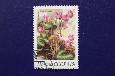 Лот: 6849540. Фото: 1. Почтовая марка №4013 в коллекцию. Марки