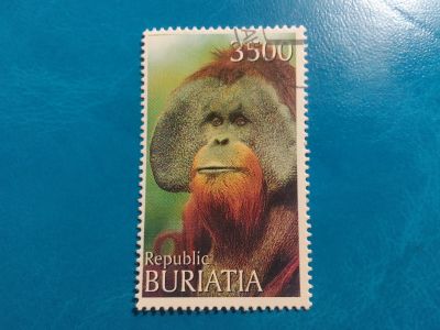 Лот: 20421595. Фото: 1. - Марки для Вашей коллекции. -... Марки