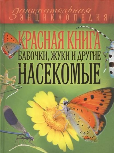 Лот: 17506292. Фото: 1. "Красная книга. Бабочки, жуки... Энциклопедии