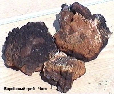 Лот: 1264174. Фото: 1. Чага. Народная медицина, БАДы