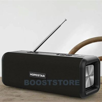Лот: 15541288. Фото: 1. Hopestar T9 Оригинал Портативная... Красноярск