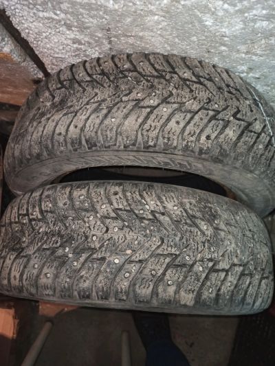 Лот: 20991792. Фото: 1. Шины Nokian Hakkapelitta 8 175... Шины