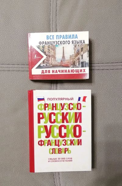 Лот: 18714865. Фото: 1. Словарь и все правила французского... Словари