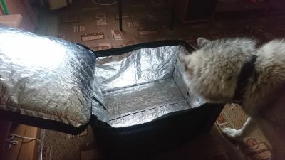 Лот: 11578784. Фото: 1. Термо-сумка с подогревом от прикуривателя... Другое (одежда, обувь, галантерея)