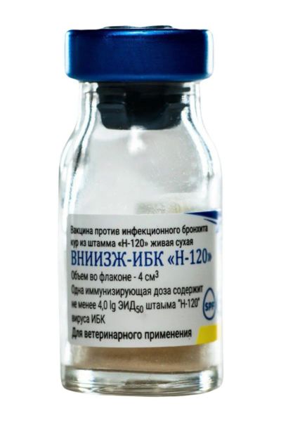 Лот: 24953693. Фото: 1. Вакцина ИБК против инфекционного... Косметика для животных