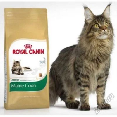 Лот: 6801950. Фото: 1. Royal Canin Main Coon 10 кг... Корма