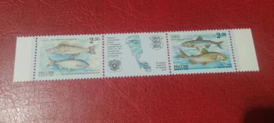 Лот: 19988470. Фото: 1. 2000 г, Рыбы Чудско-Псковского... Марки
