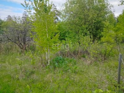Лот: 25293587. Фото: 1. участок , СНТ Рассвет СНТ Рассвет... Земельные участки