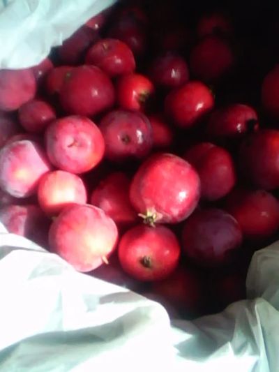 Лот: 6117275. Фото: 1. Ранетка, очень вкусная. Цена за... Овощи, фрукты, зелень