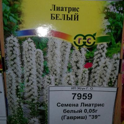 Лот: 9118623. Фото: 1. Семена / цветы / Лиатрис / белый... Садовые цветы