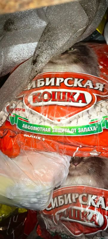 Лот: 24407277. Фото: 1. наполнитель сибирская кошка. Миски, лотки, наполнители