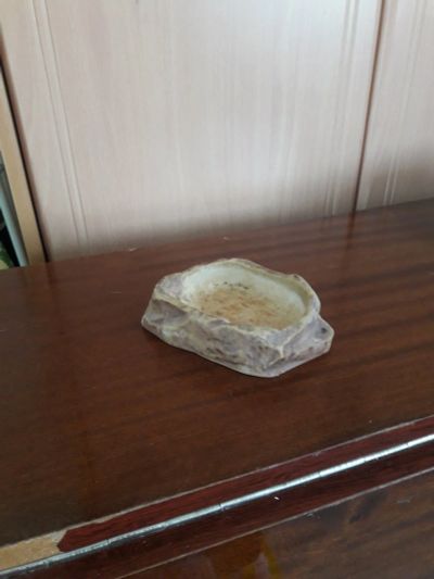 Лот: 19080867. Фото: 1. Блюдце. Миски, лотки, наполнители