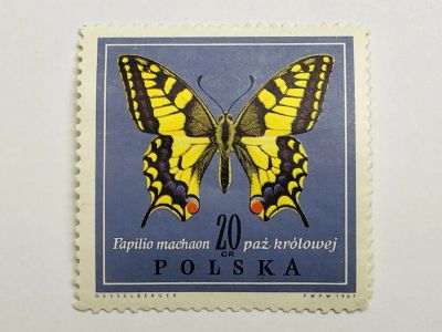 Лот: 23316515. Фото: 1. Насекомые. Бабочки в естественных... Марки