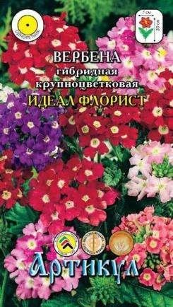 Лот: 11024186. Фото: 1. Вербена Идеал Флорист 0,1гр. Садовые цветы