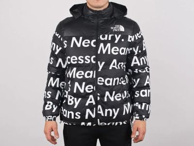 Лот: 12653260. Фото: 1. Куртка зимняя The North Face x... Верхняя одежда