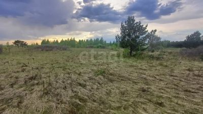 Лот: 25391640. Фото: 1. участок , ДНТ Лужники ДНТ Лужники... Земельные участки